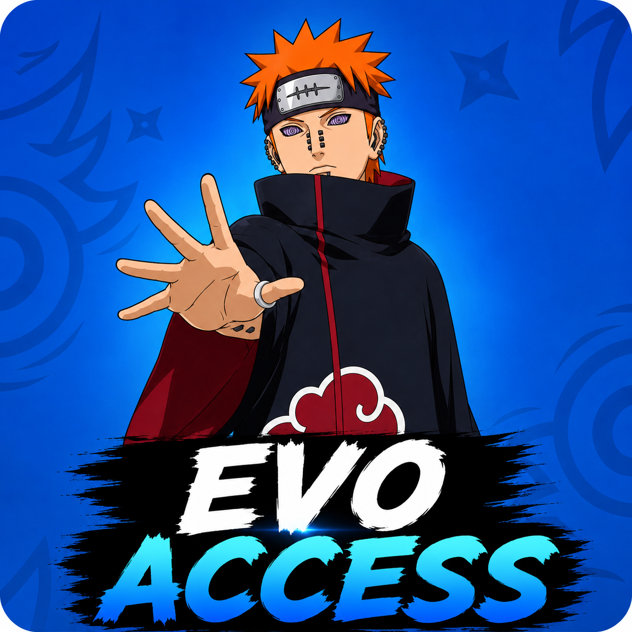EVO ACCESS 